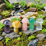 Kit de hongos de piedras preciosas de 5 piezas