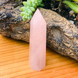Carneool Paddestoel