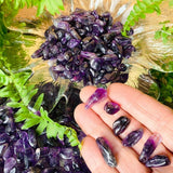 WORKING ON THIS ONE Amethyst Collectors Kit Large Decor Set - collection