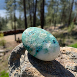 Chrysocolla palmestein
