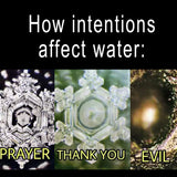 Bouteille d'eau Prehnite Gem Pod 💧