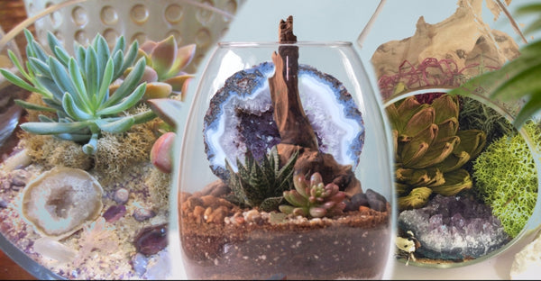 A Geode Terrarium Is The New Trend That Will Bring Magic In Your Home