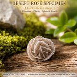 Desert Rose Specimen
