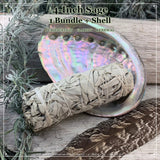 Smudge Kit: White Sage (4-tommer) + Abalone Shell