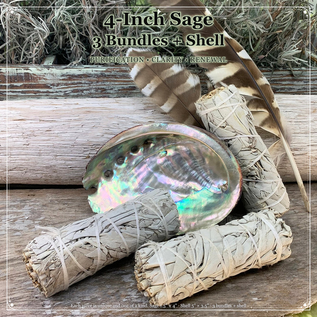 An abalone shell glowing pink, green and silver beside three sage bundles