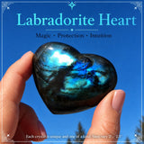 Labradoriet hart
