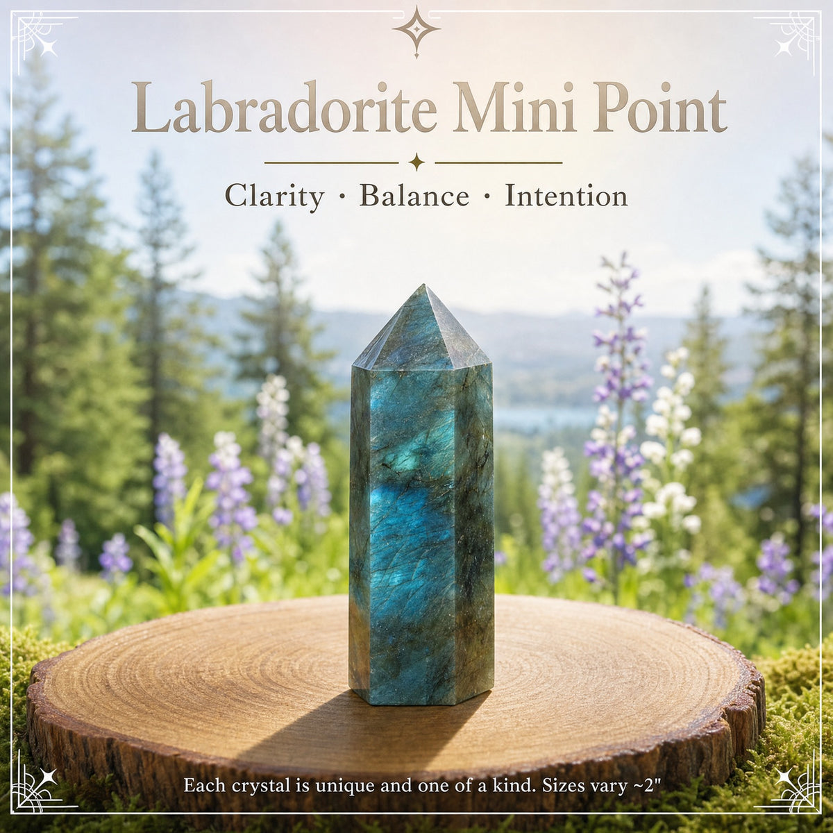Labradorite Mini Crystal Point