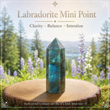 Labradorite Mini Crystal Point
