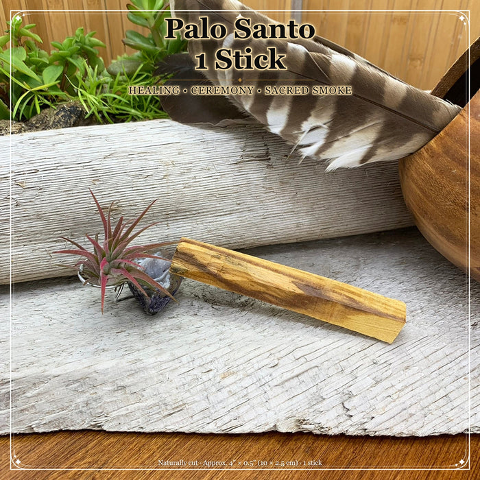 A single Palo Santo stick lying on weathered driftwood beside an air plant