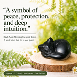 Crystal Animal Spirit Totems: Black Protection Agate Sleeping Cat