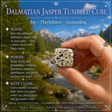 Cubo caído de jaspe dálmata