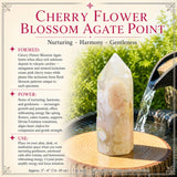 Cherry Flower Blossom Agate Point