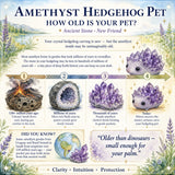 Crystal Amethyst Hedgehog Pet (ADOPT ME POR FAVOR) 🥰