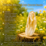 Ensemble de pochettes de gemmes d'abondance de citrine