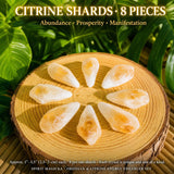 Obsidian & Citrin Energy Enhancer Set