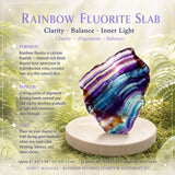 Z ARRON DESIGN Colar com pingente de fio de cobre Serenity Moonstone