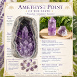 8-delt Ametyst Point + Ametyst Shards Set