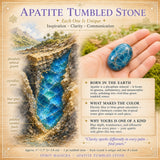 Apatit tumlet sten