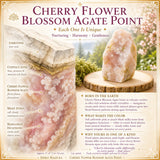 Cherry Flower Blossom Agate Point