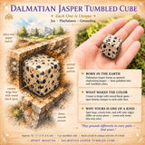 Cubo caído de jaspe dálmata