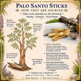 Palo Santo Sticks