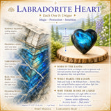 Labradoriet hart