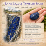 Lapis Lazuli tuimelde steen