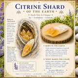 Citrine Shards (Small)