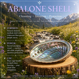 Beskyttelseskrystaller + Salvie + Abalone Shell Smudging Sett