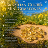 Ensemble de pochettes de gemmes d'abondance de citrine
