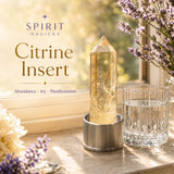 Insert en cristal (pour les bouteilles d'eau Crystal Point)