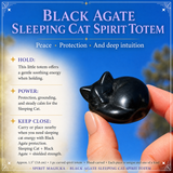 Crystal Animal Spirit Totems: Black Protection Agate Sleeping Cat