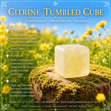 Ensemble de pochettes de gemmes d'abondance de citrine