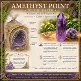 Sacred Fluorite & Amethyst Energy Set