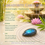 Prosperity Aventurine + Allies Crystal Collection