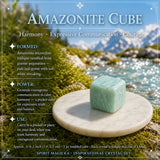Inspirierendes Apatit + Allies Crystal Box Bundle