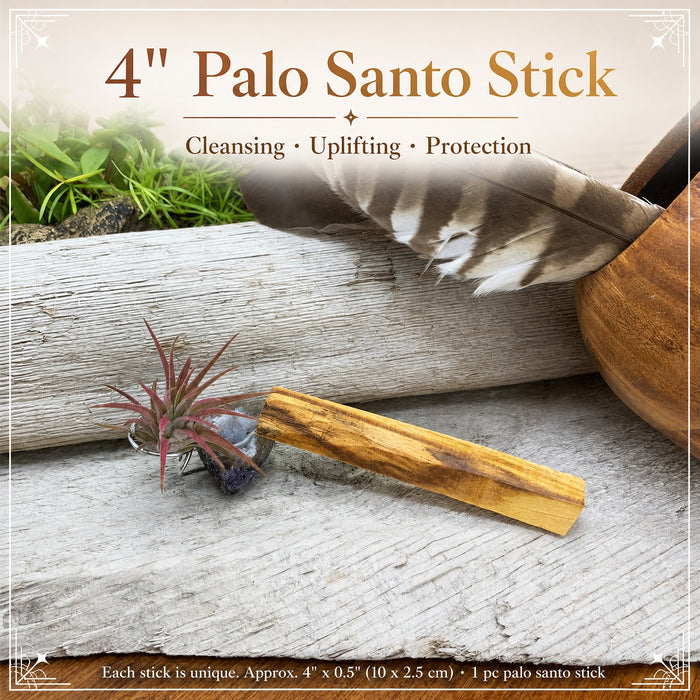 Palo santo stick on driftwood with a small air plant