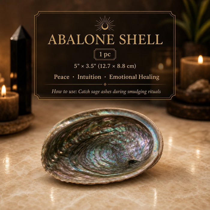 An iridescent abalone shell on marble