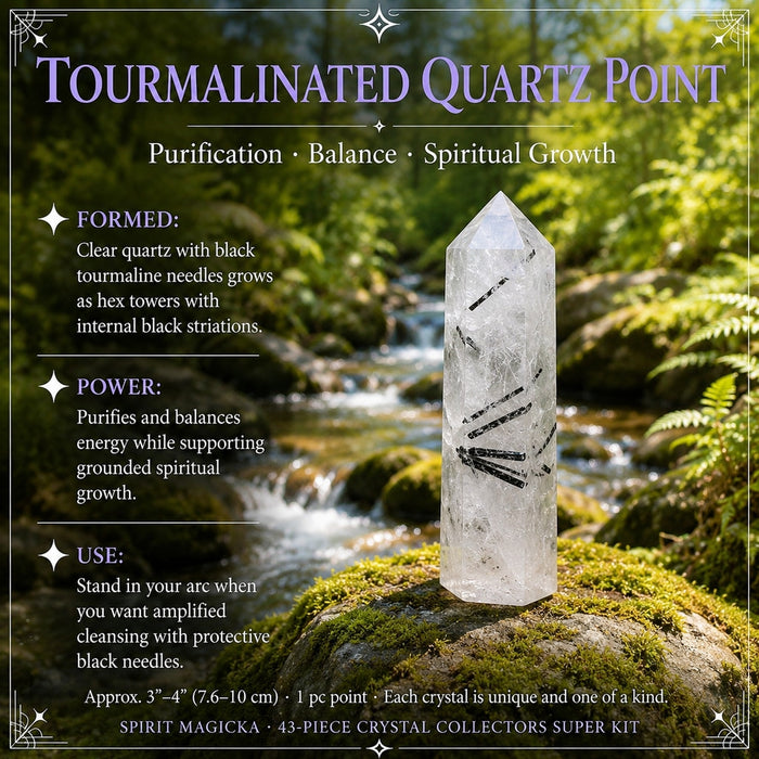 Tourmalinated Quartz point with black tourmaline needles
