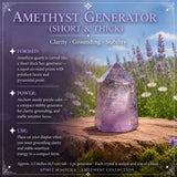 Kit de collection d'améthyste