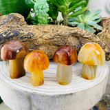 20-Piece Mushroom Gemstones Kit - collection