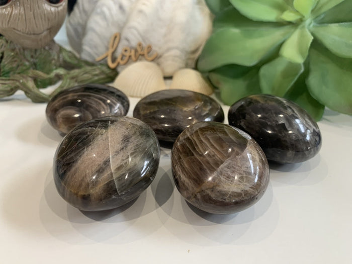 Black Moonstone Palmstone WINNER! - (Just Pay Cost of Shipping)