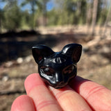 PRIZE WINNER! Black Protection Agate Third Eye Cat