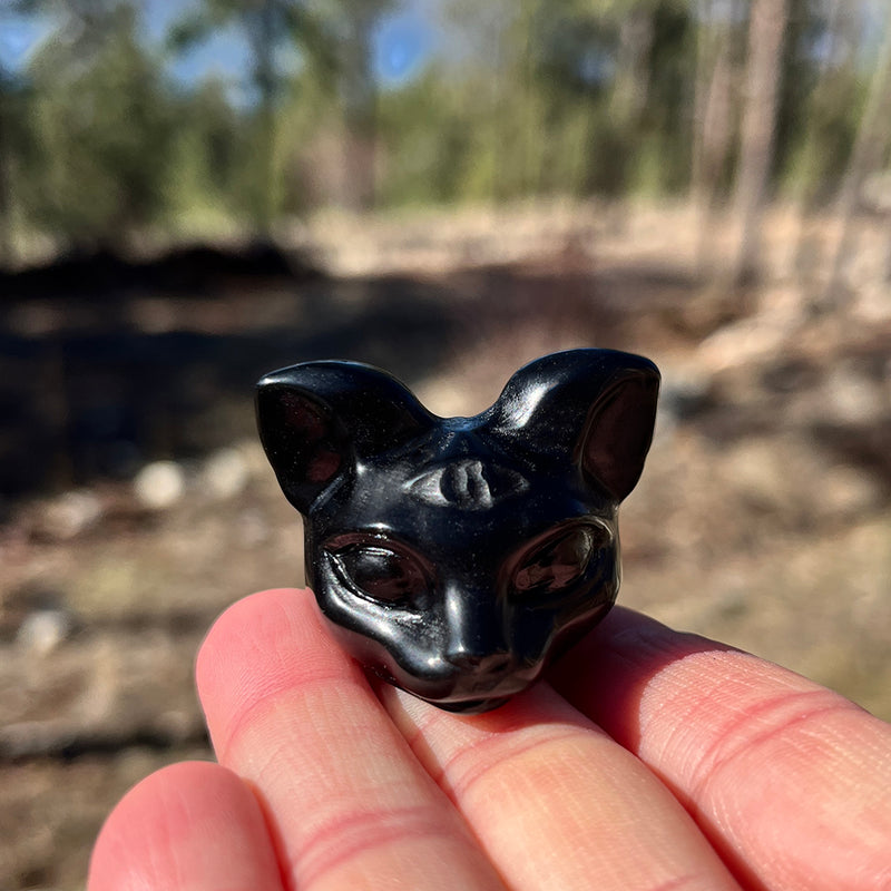 PRIZE WINNER! Black Protection Agate Third Eye Cat