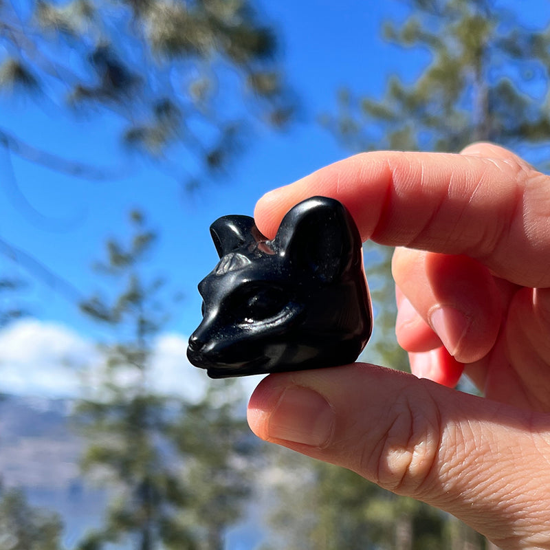 PRIZE WINNER! Black Protection Agate Third Eye Cat