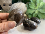 Black Moonstone Palmstone WINNER! - (Just Pay Cost of Shipping)