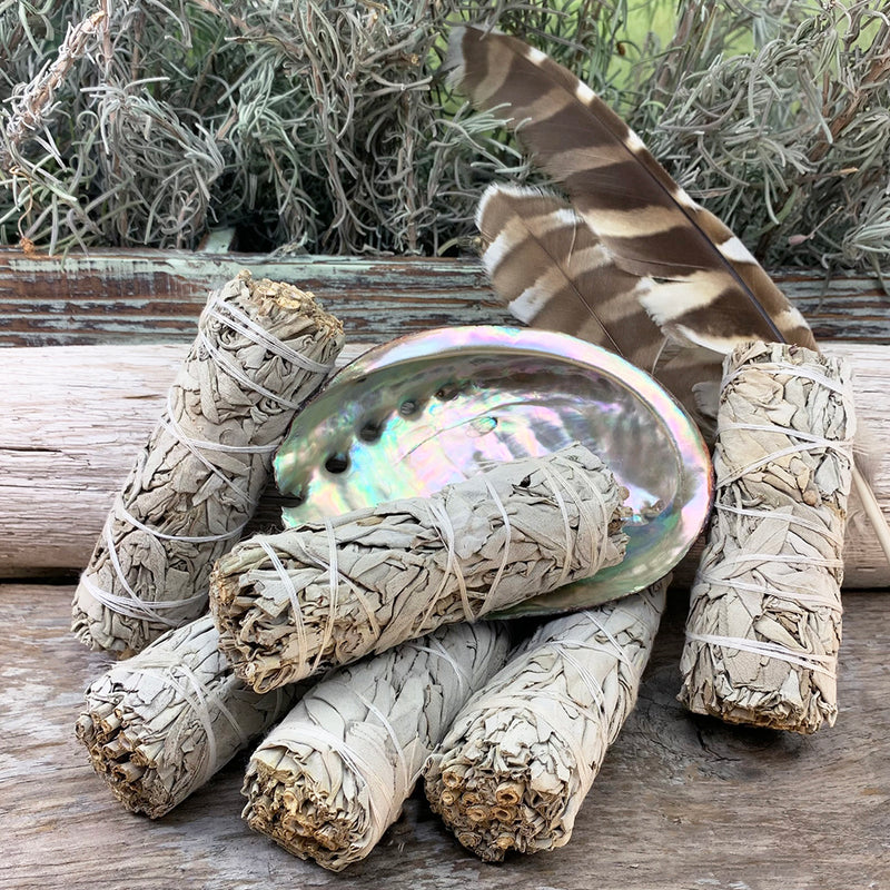 Smudge Kit: Witte Salie (4-inch) + Abalone Shell