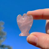 Punto dell'Amazzonite