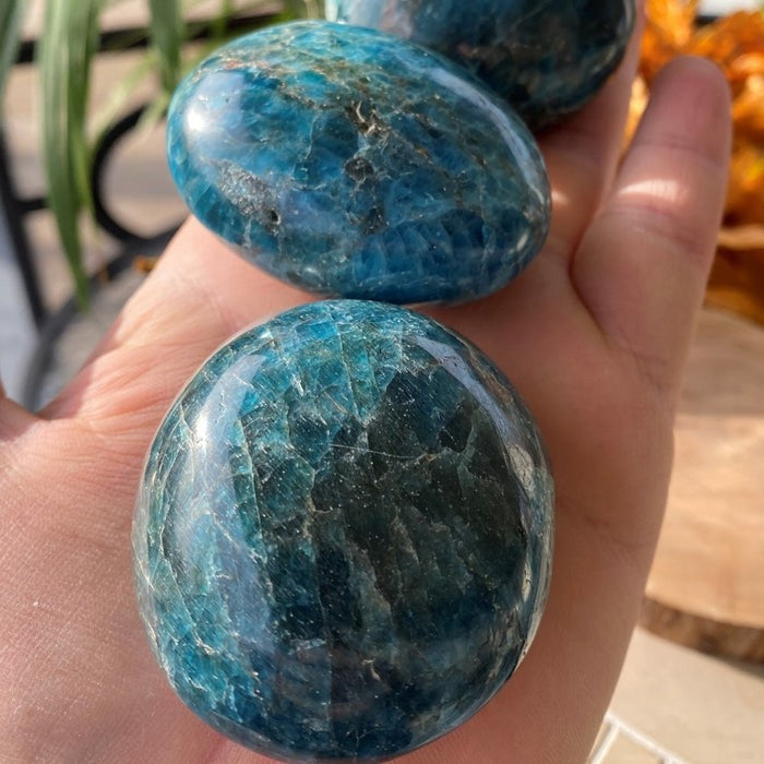 ¡SORTEO GRATIS! Piedra de palma de apatita - (Solo pague el costo de envío)
