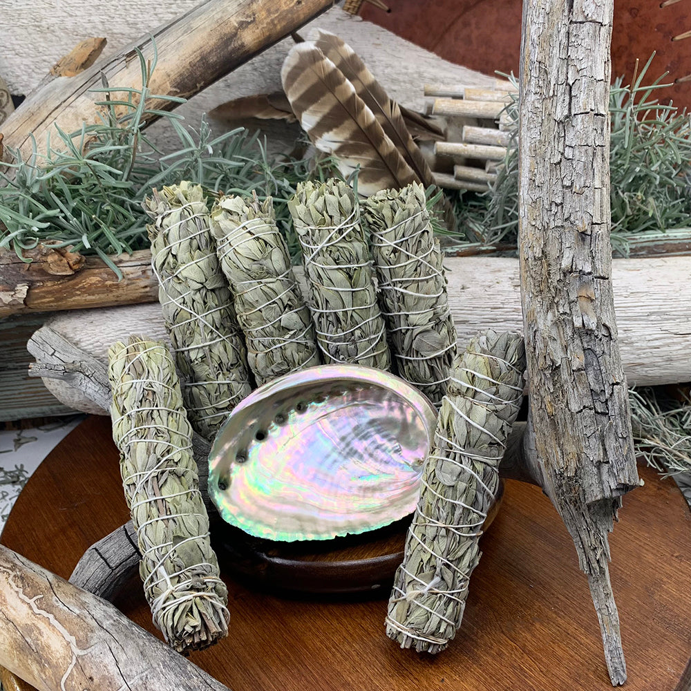 Sage Bundles With Abalone Shell – Spirit Magicka